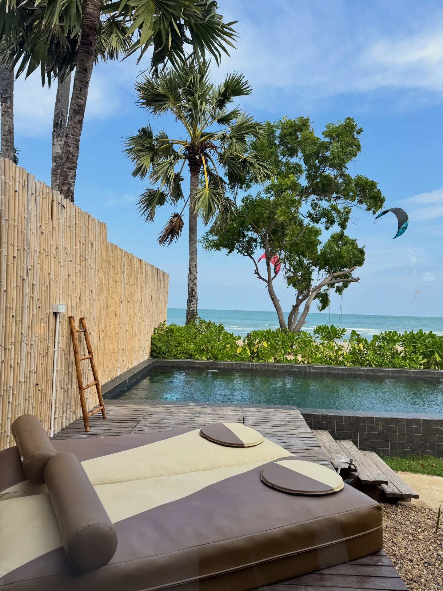 จ๋า - ณัฐฐาวีรนุช ทองมี