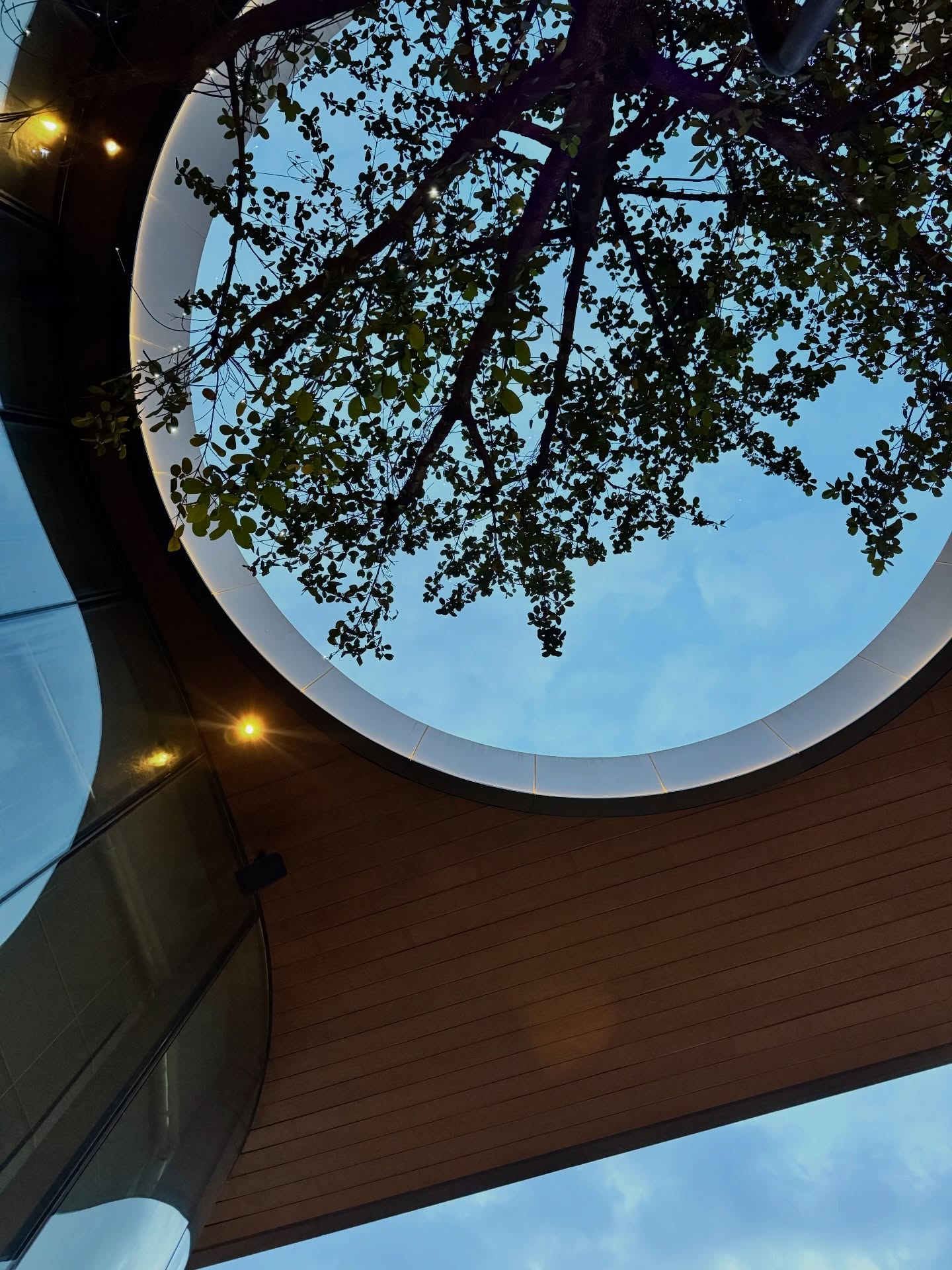 จ๋า - ณัฐฐาวีรนุช ทองมี