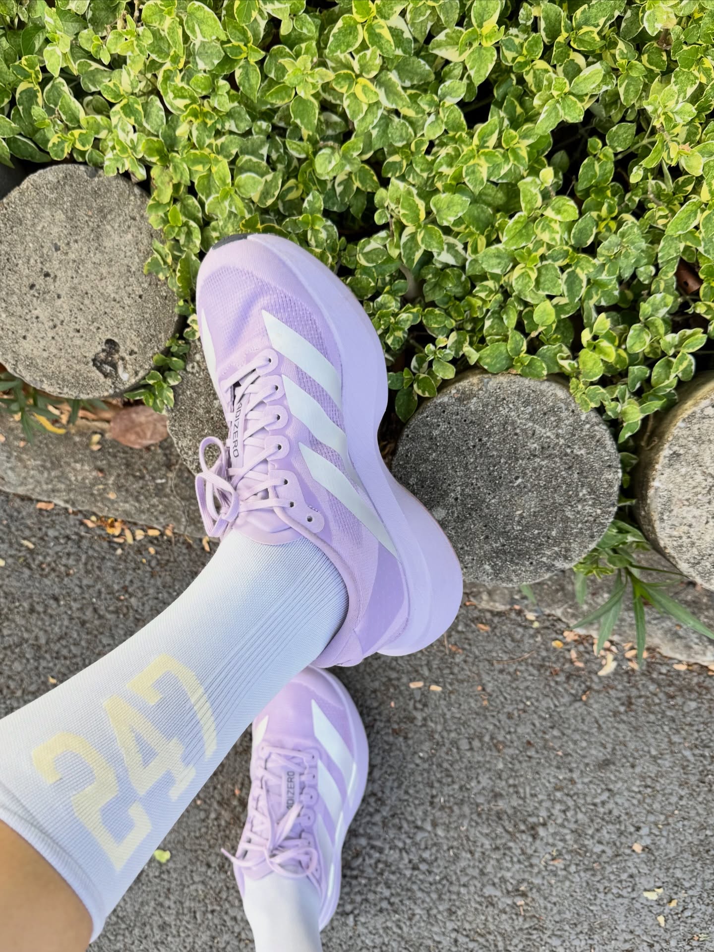 จ๋า - ณัฐฐาวีรนุช ทองมี