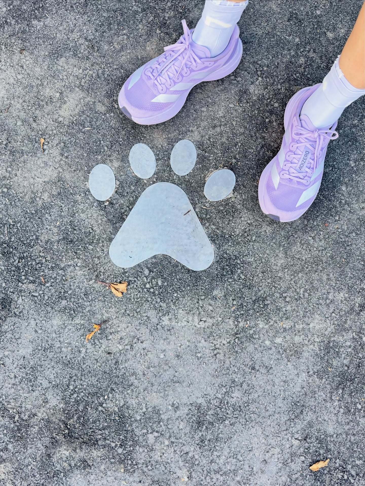 จ๋า - ณัฐฐาวีรนุช ทองมี