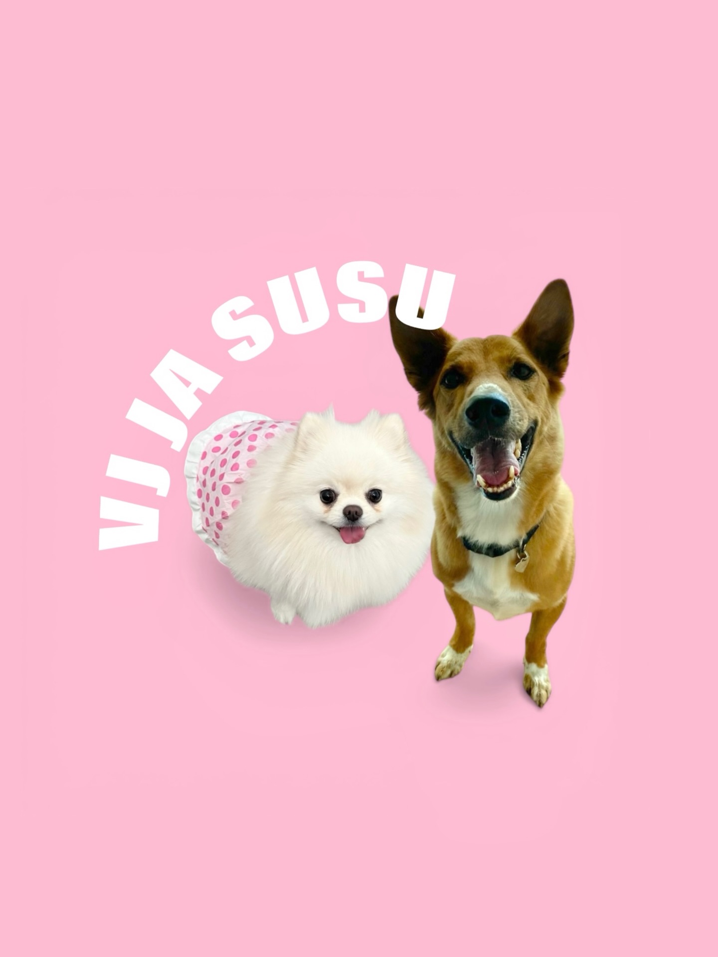 จ๋า - ณัฐฐาวีรนุช ทองมี