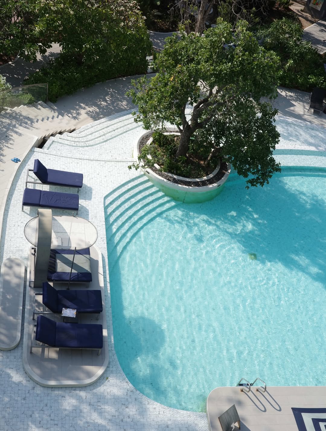 จ๋า - ณัฐฐาวีรนุช ทองมี