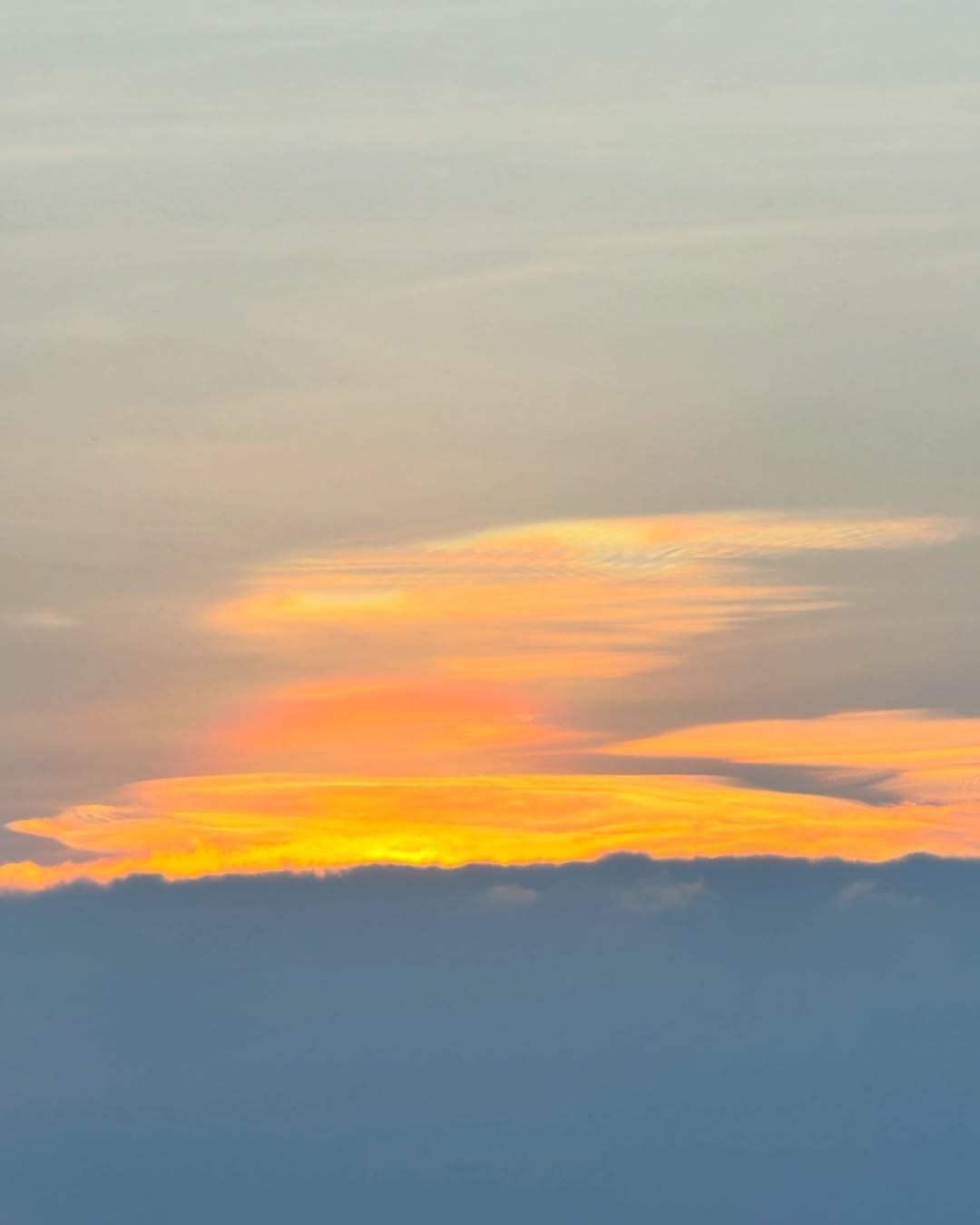 จ๋า - ณัฐฐาวีรนุช ทองมี