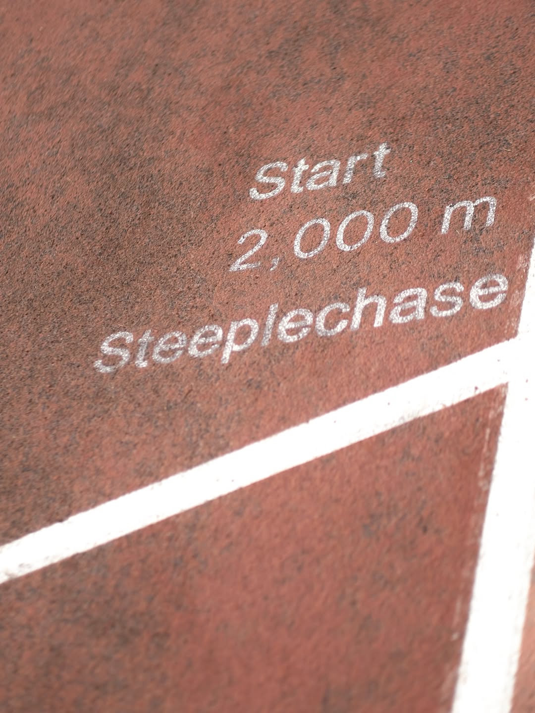 จ๋า - ณัฐฐาวีรนุช ทองมี