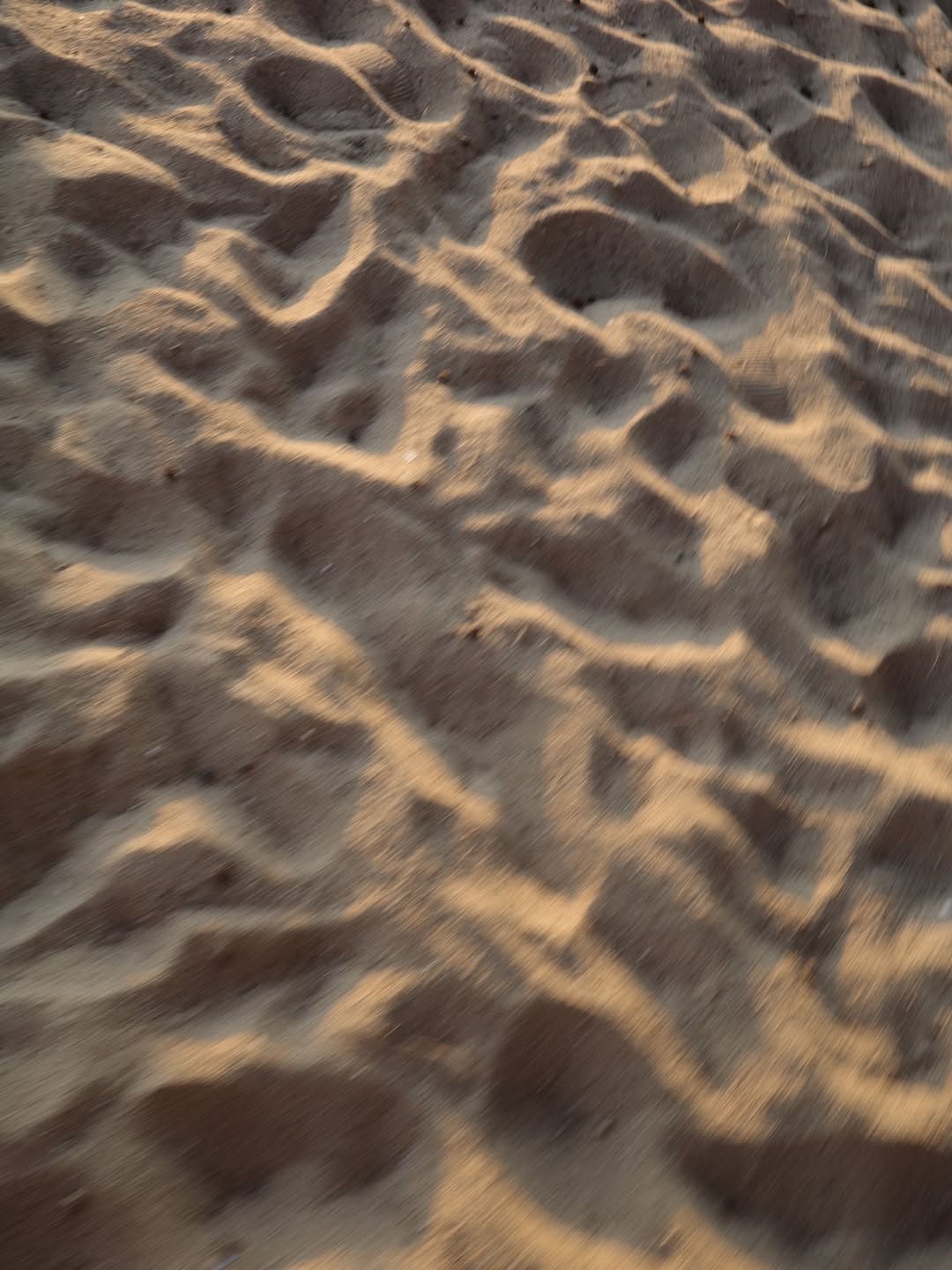 จ๋า - ณัฐฐาวีรนุช ทองมี