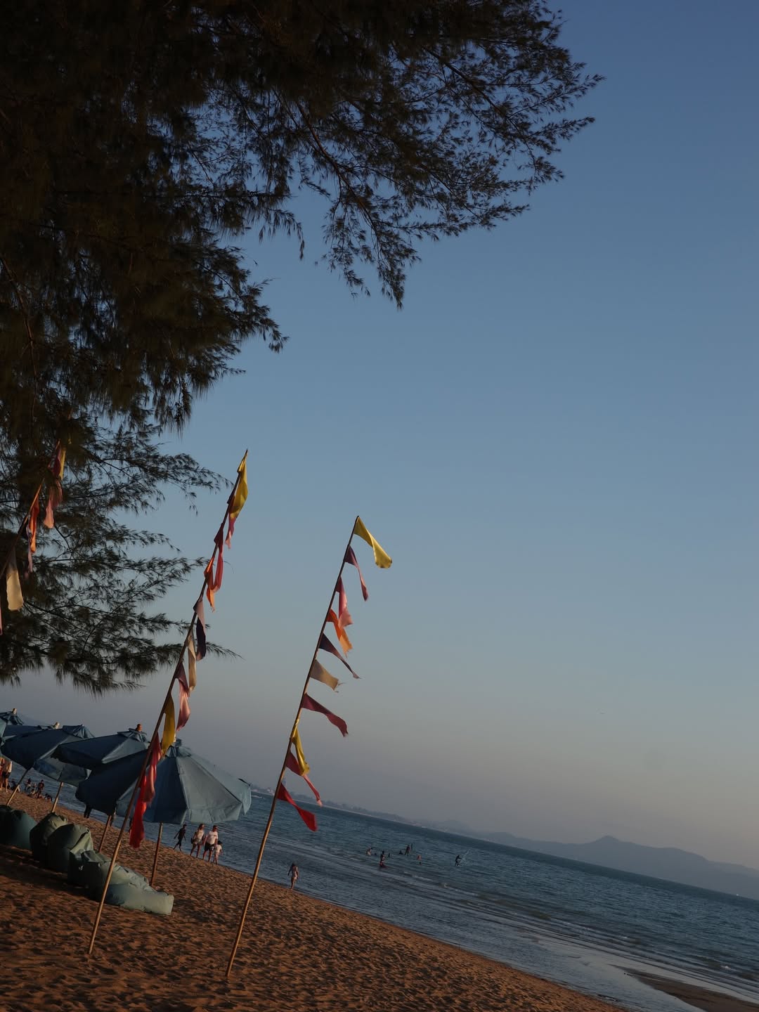 จ๋า - ณัฐฐาวีรนุช ทองมี