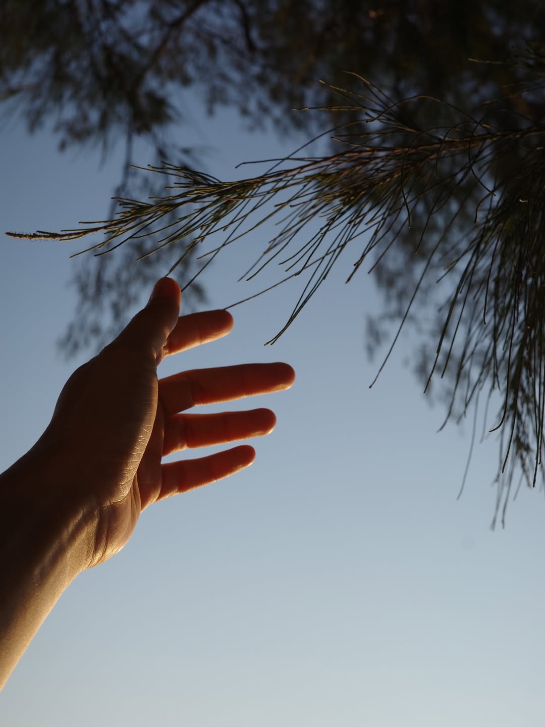 จ๋า - ณัฐฐาวีรนุช ทองมี