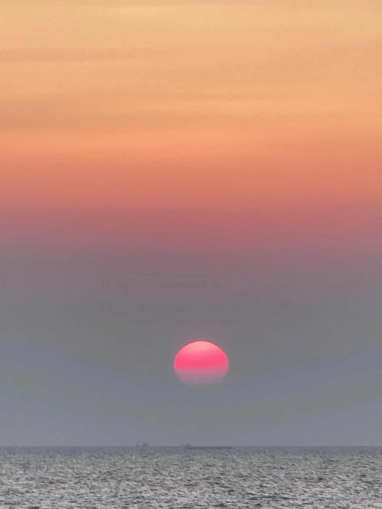 จ๋า - ณัฐฐาวีรนุช ทองมี