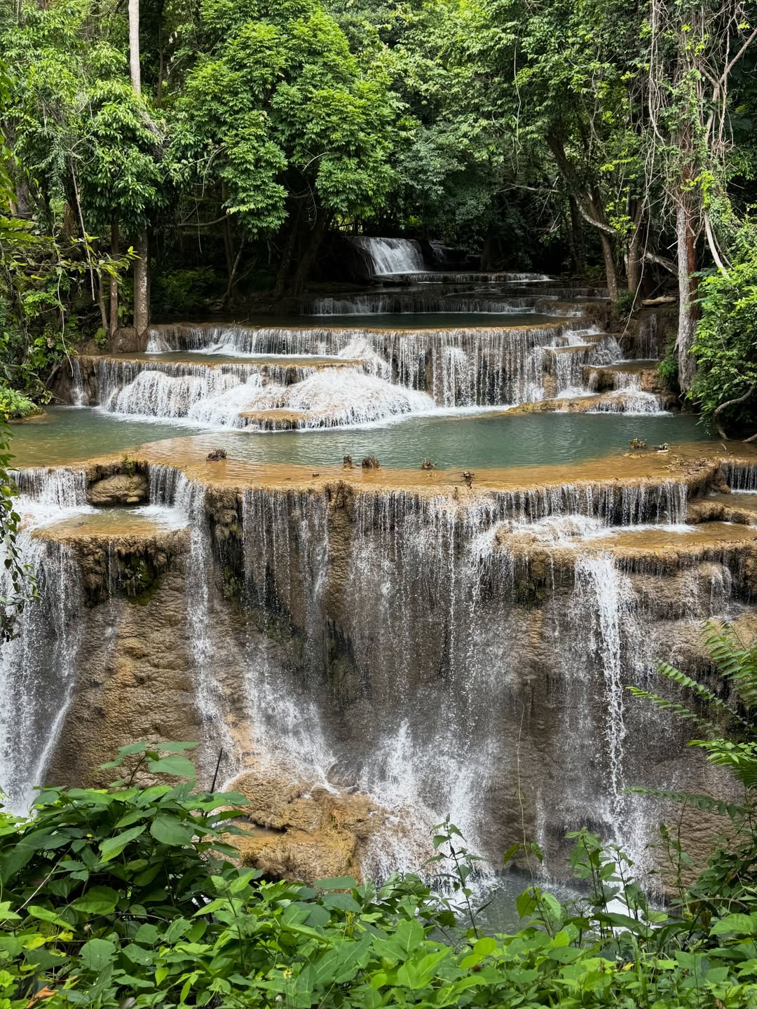 จ๋า - ณัฐฐาวีรนุช ทองมี