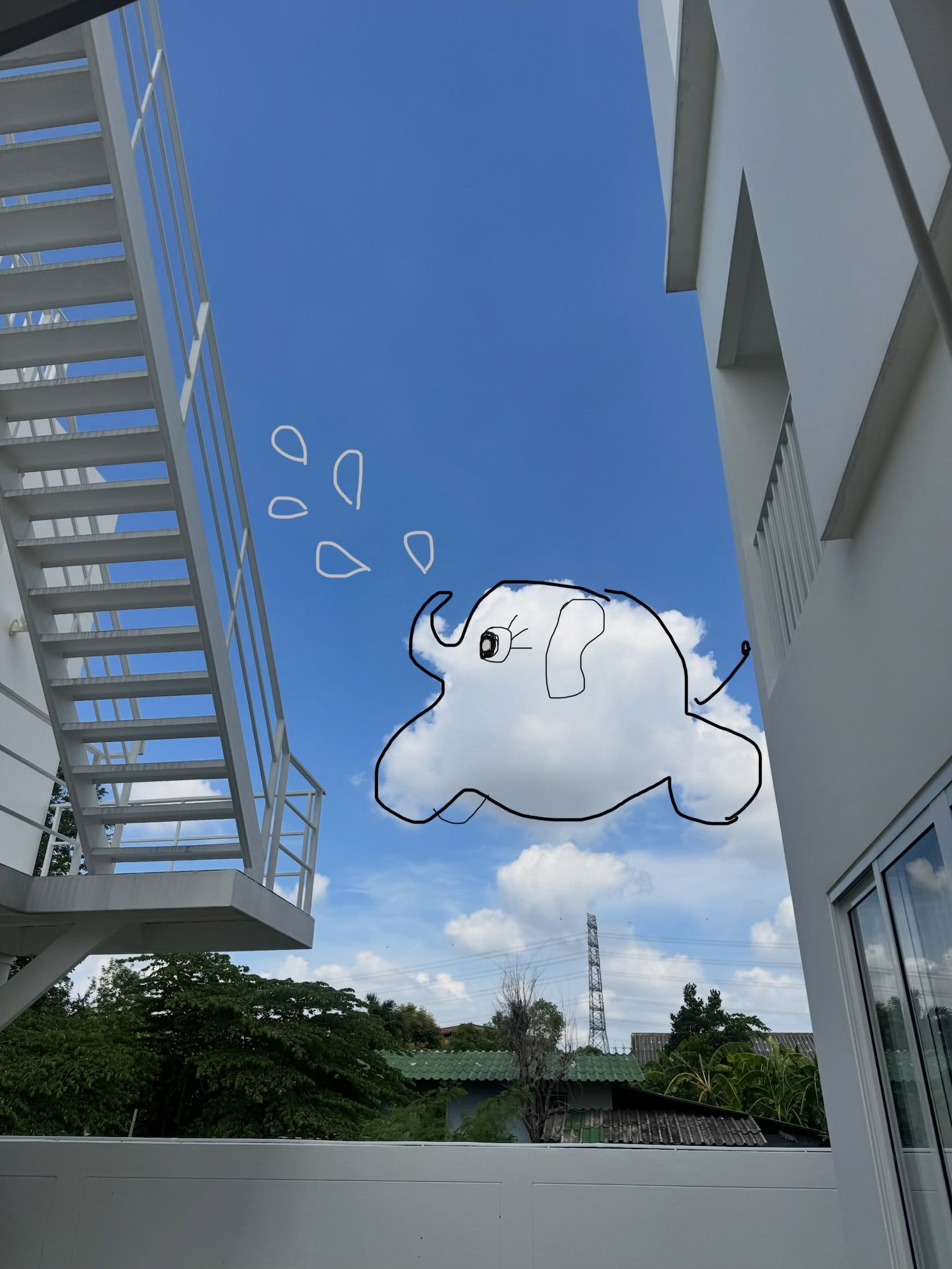จ๋า - ณัฐฐาวีรนุช ทองมี