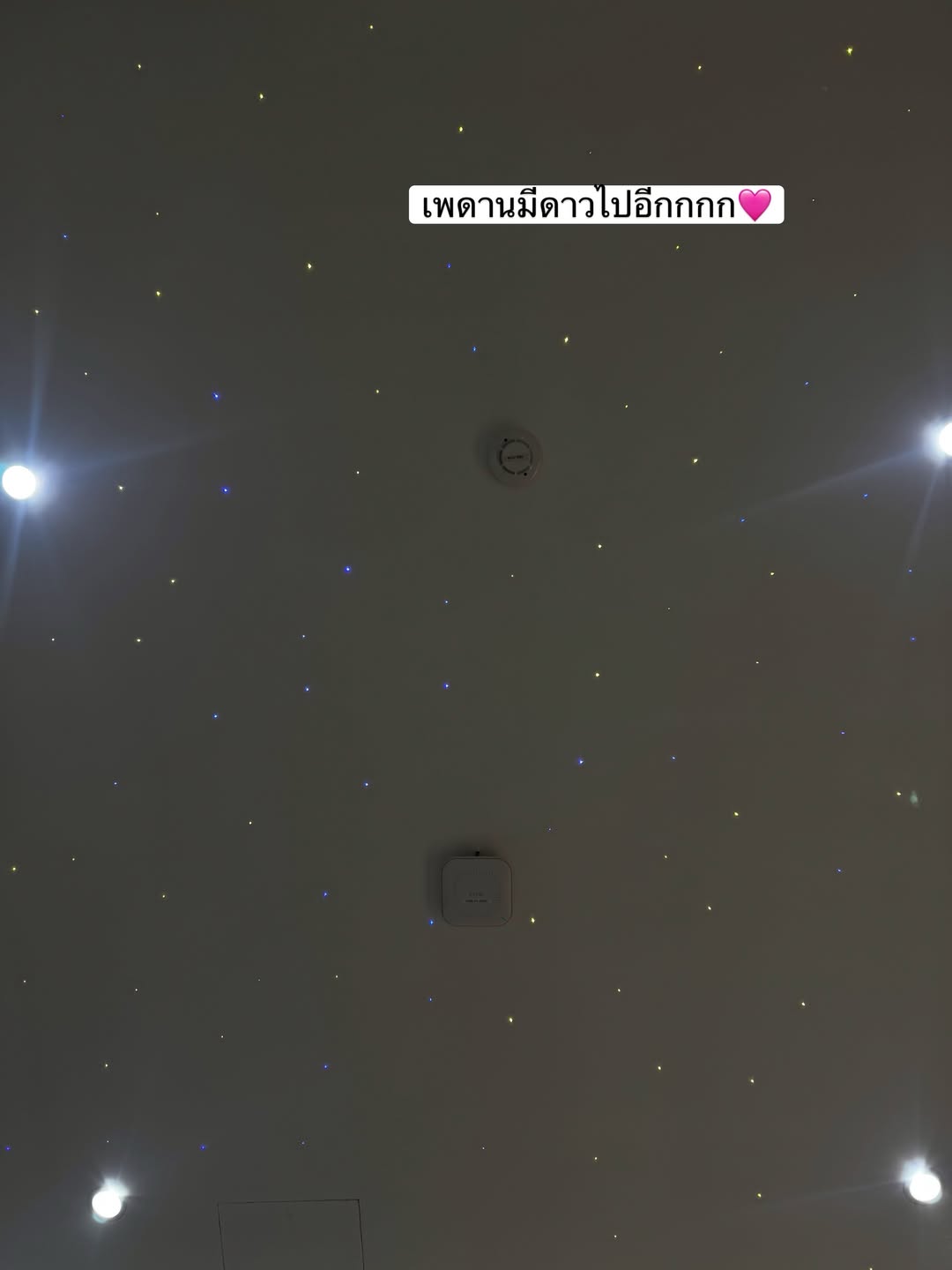 จ๋า - ณัฐฐาวีรนุช ทองมี