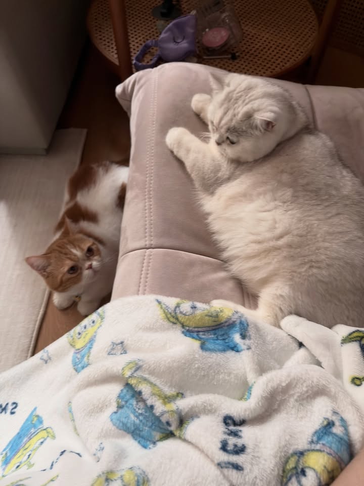 โจ - กวินพัฒน์ ธนาหิรัญศิลป์