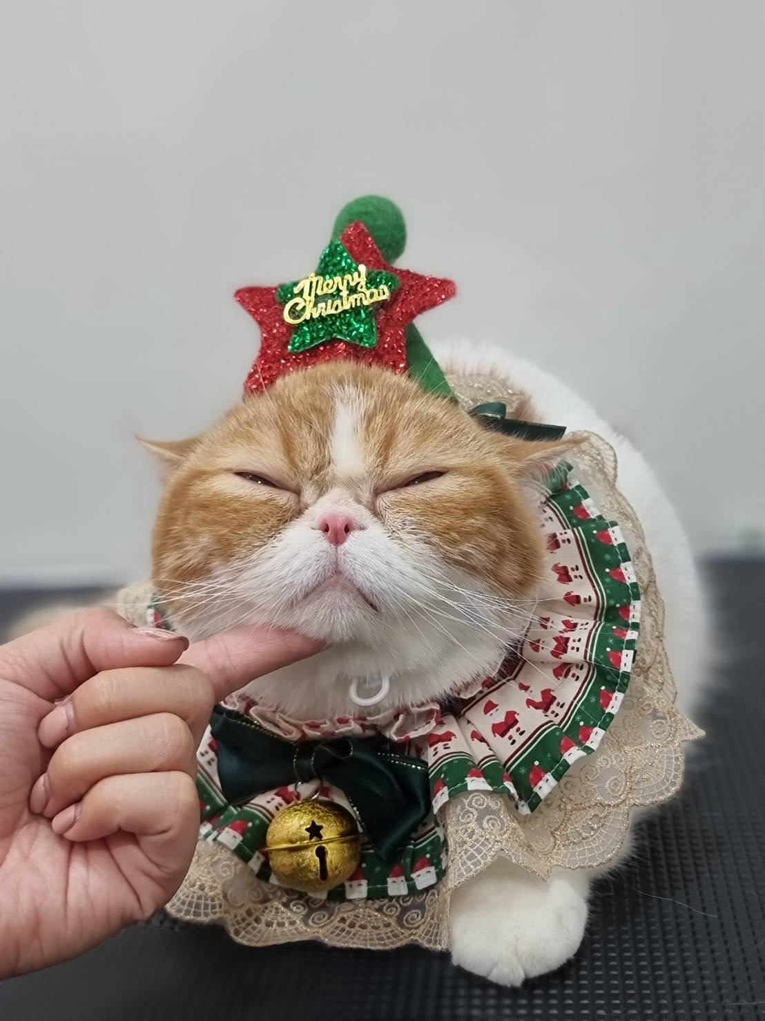 โจ - กวินพัฒน์ ธนาหิรัญศิลป์