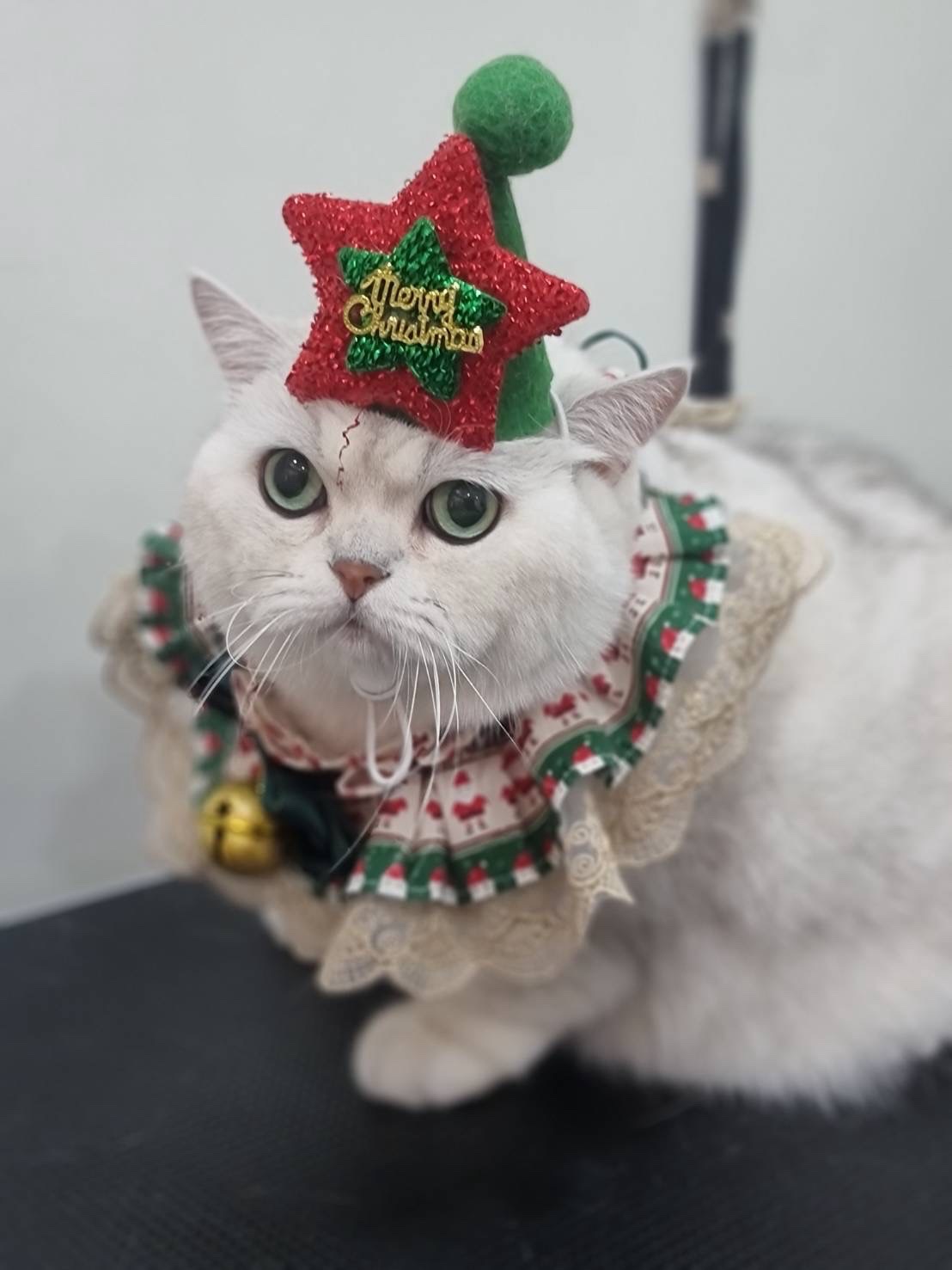 โจ - กวินพัฒน์ ธนาหิรัญศิลป์