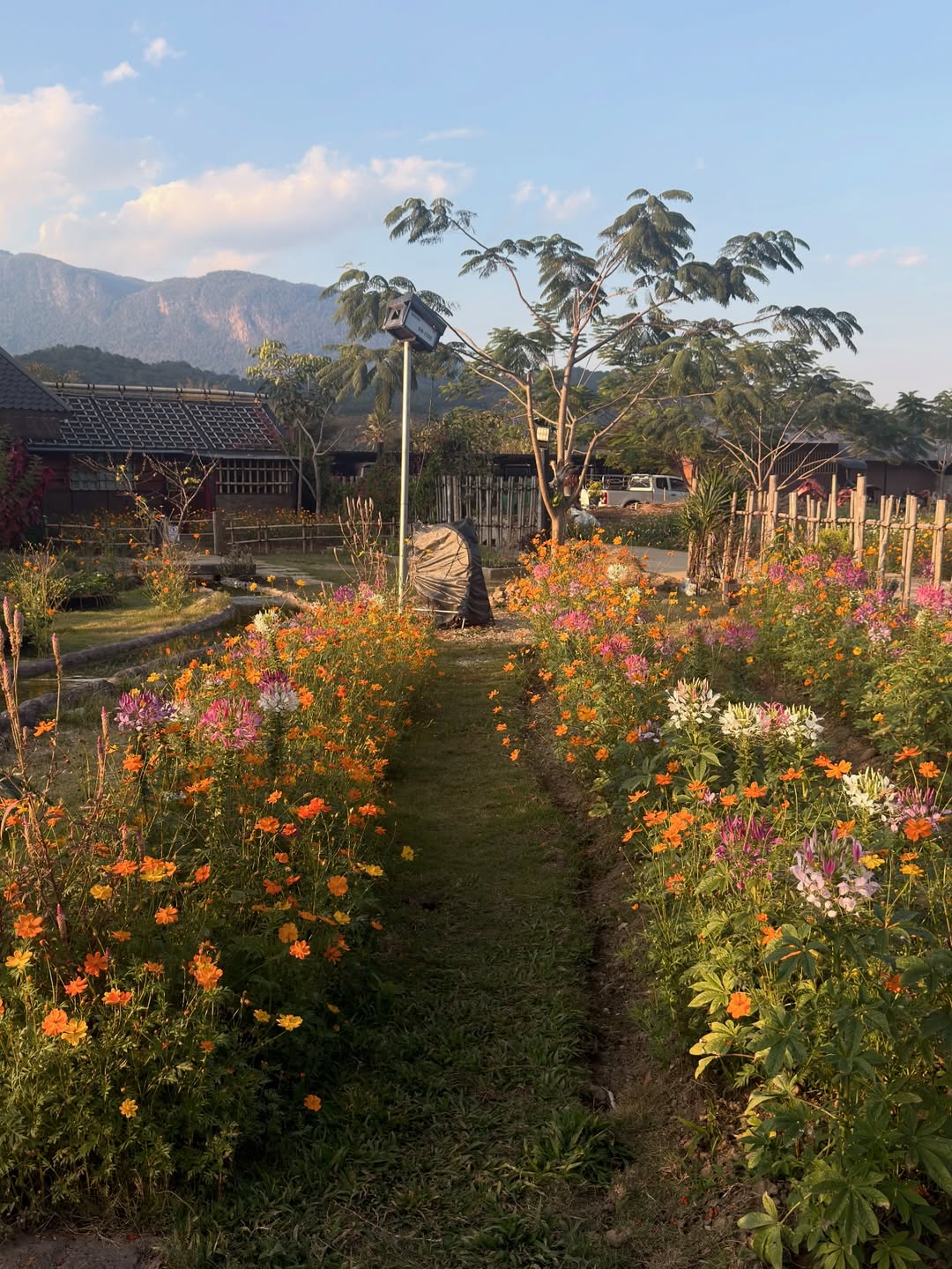 โจ - กวินพัฒน์ ธนาหิรัญศิลป์