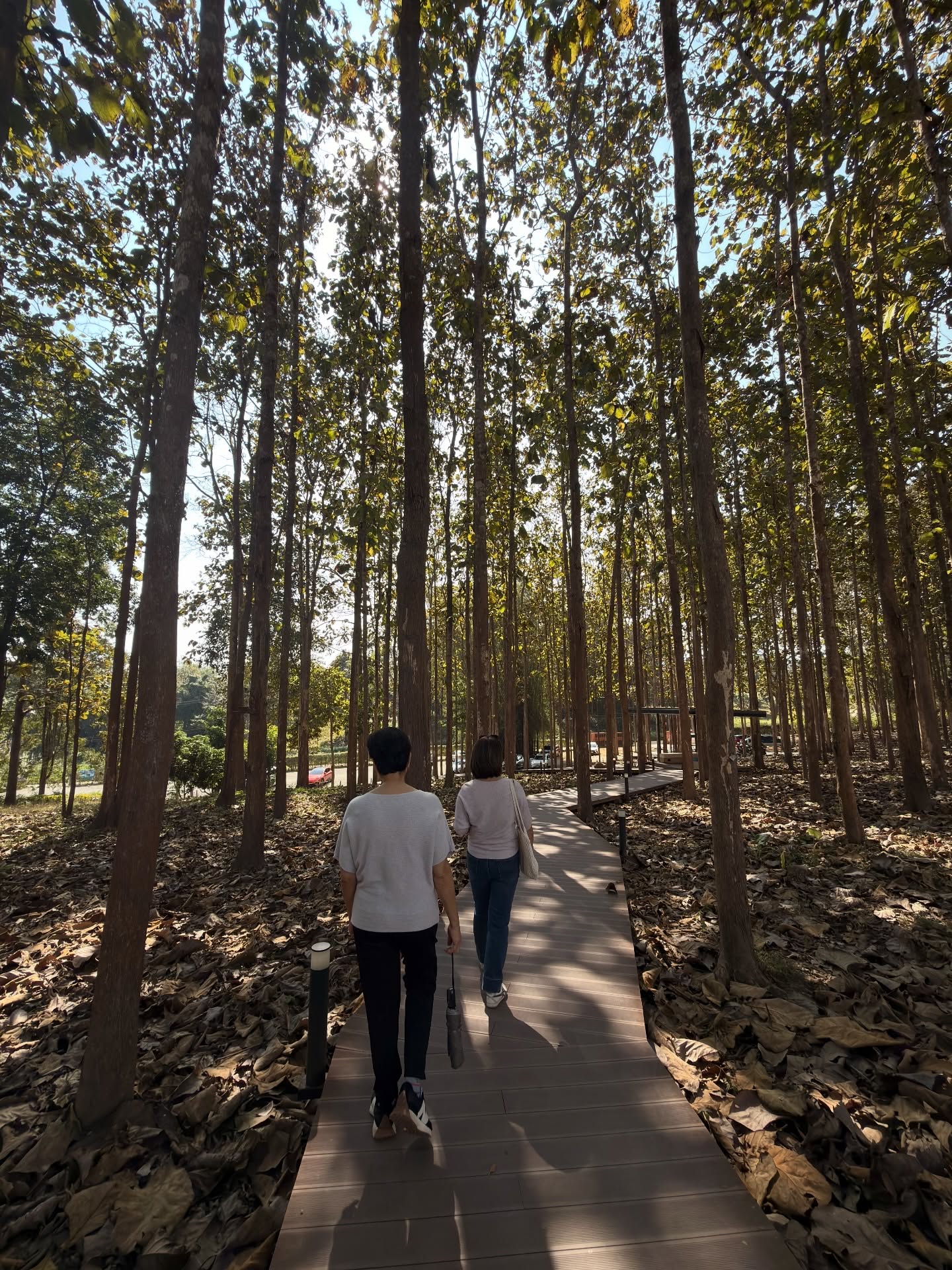 โจ - กวินพัฒน์ ธนาหิรัญศิลป์