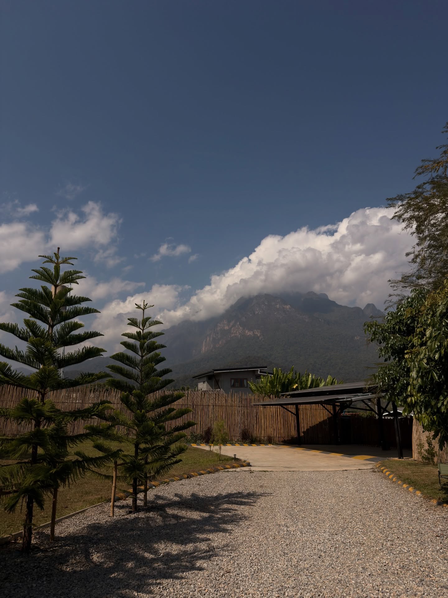 โจ - กวินพัฒน์ ธนาหิรัญศิลป์