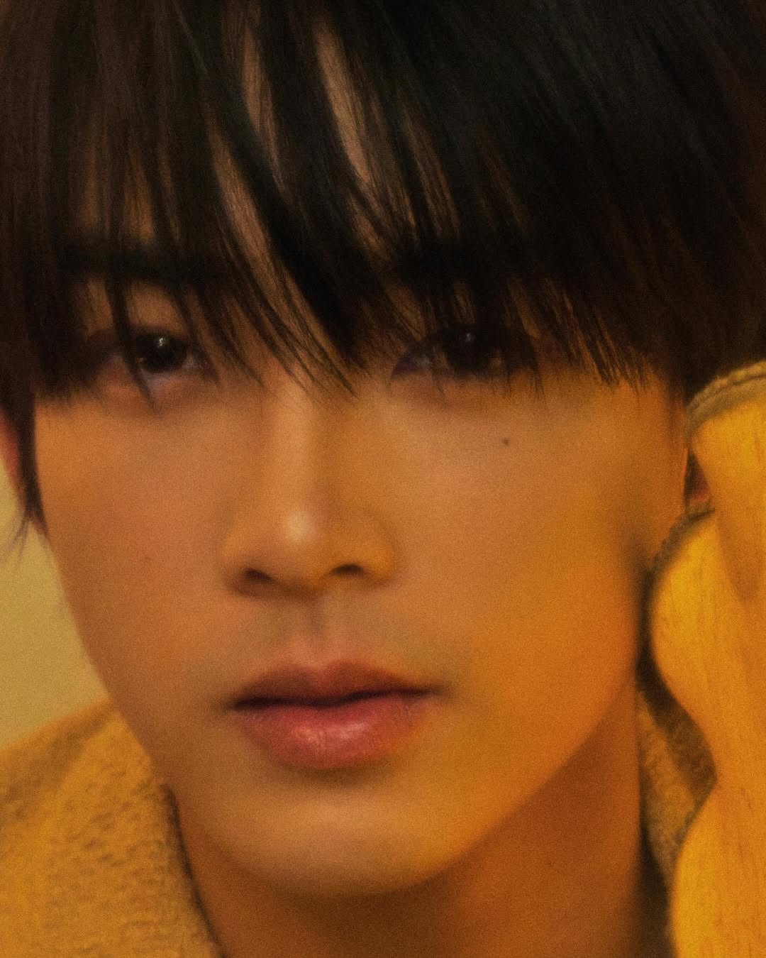 กาฟิวส์ - พันธุ์ธัช กันคำ
