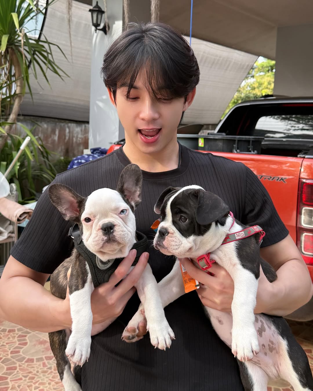 กาฟิวส์ - พันธุ์ธัช กันคำ