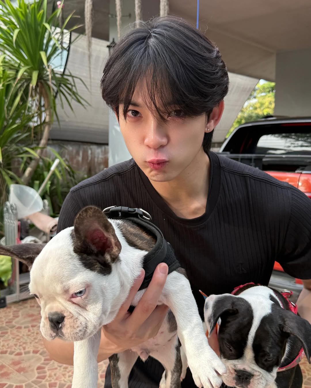 กาฟิวส์ - พันธุ์ธัช กันคำ