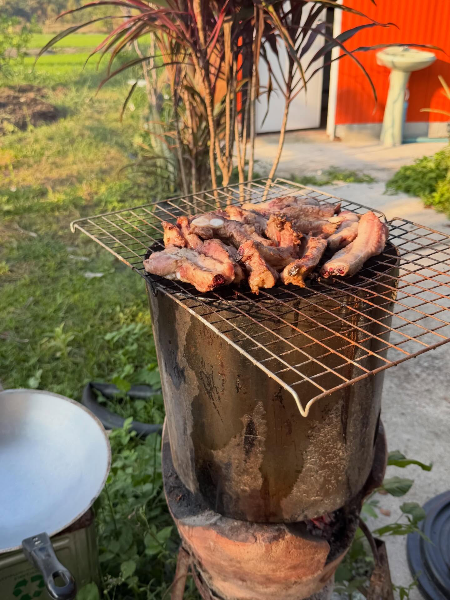 กาฟิวส์ - พันธุ์ธัช กันคำ