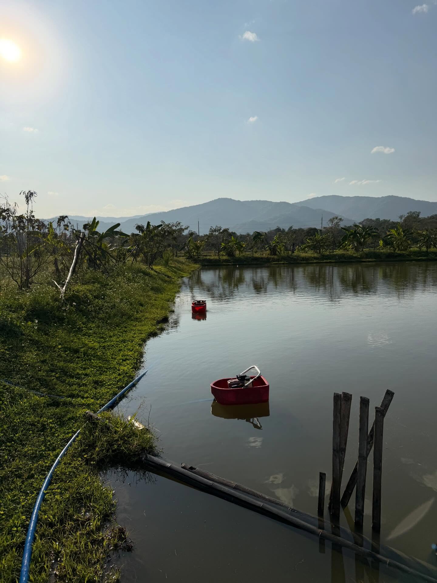 กาฟิวส์ - พันธุ์ธัช กันคำ