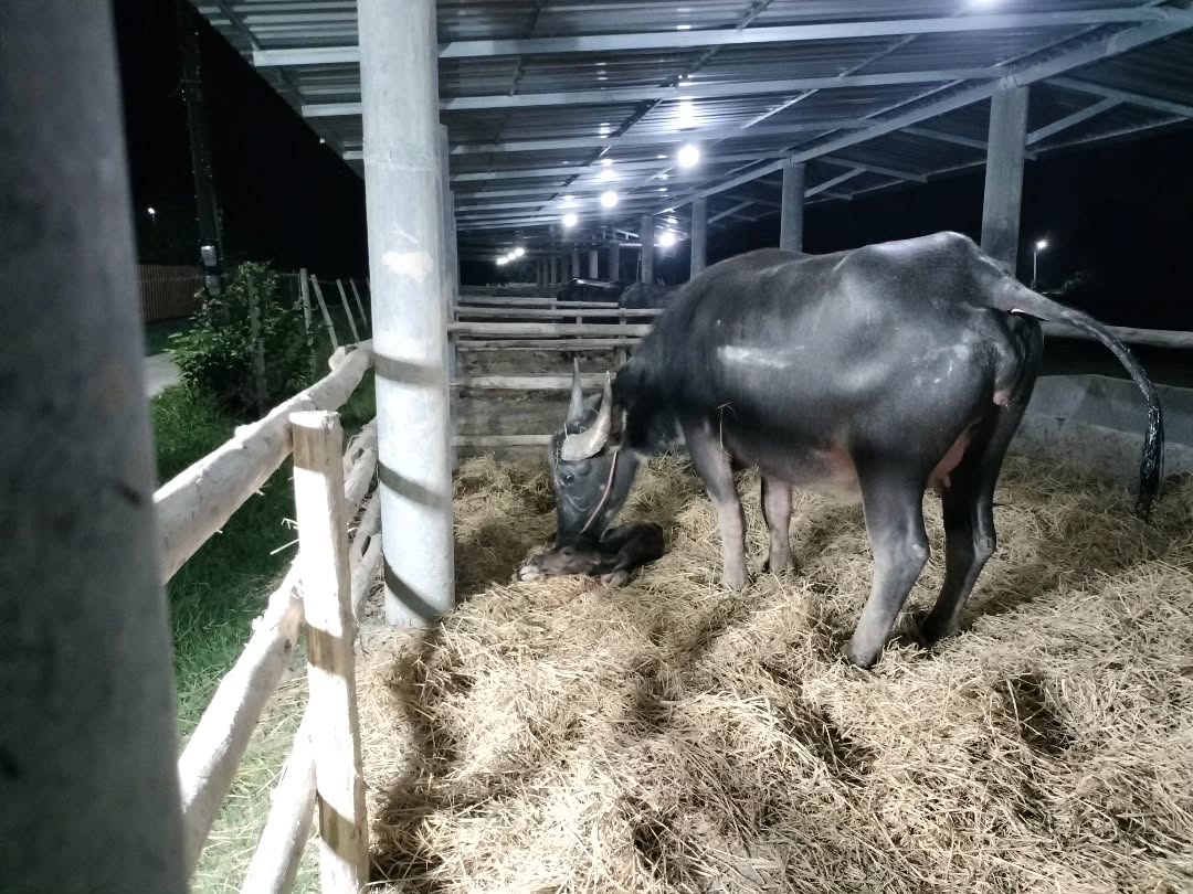 น้ำ - รพีภัทร เอกพันธ์กุล