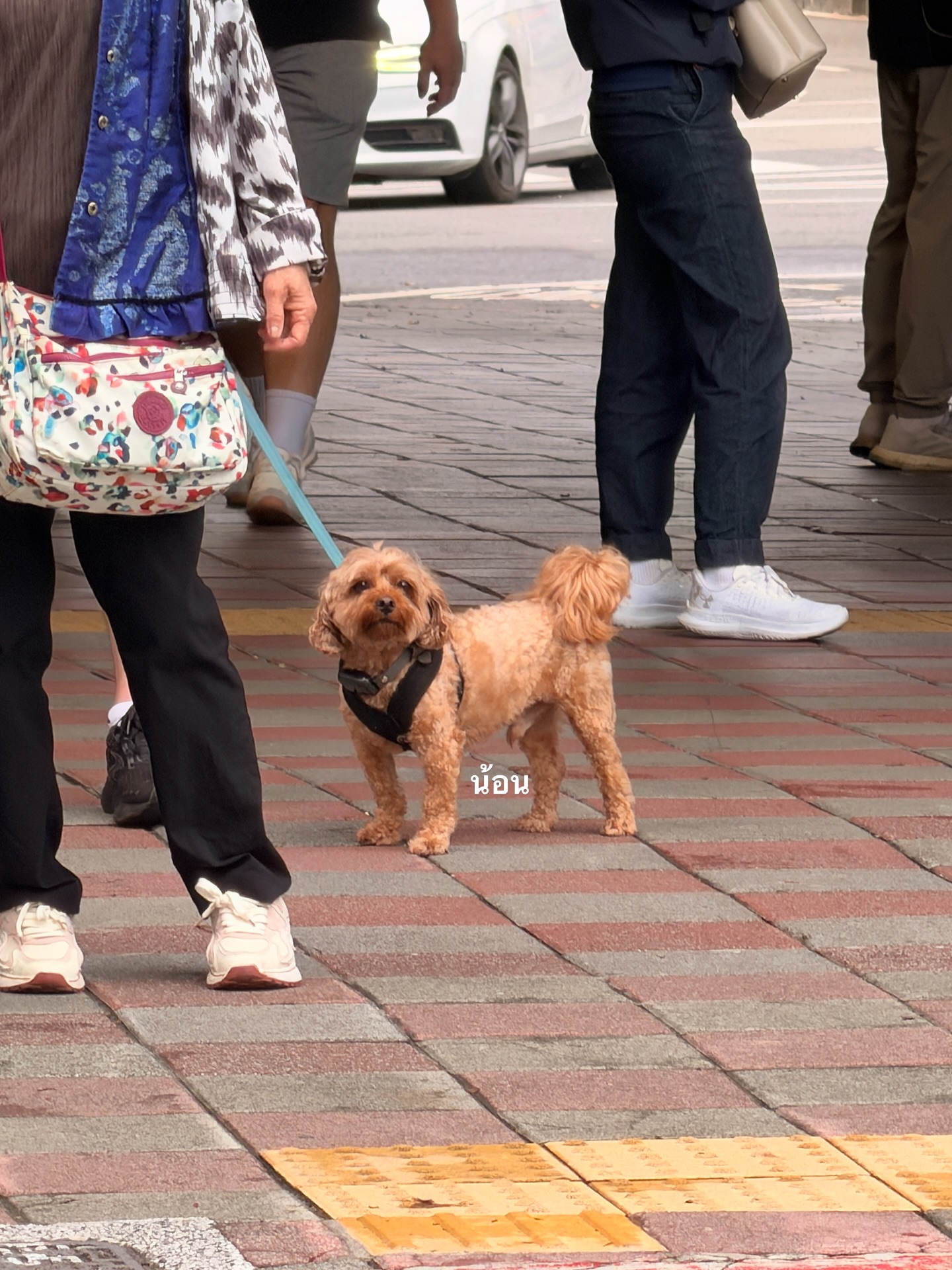 อาเล็ก - ธีรเดช เมธาวรายุทธ