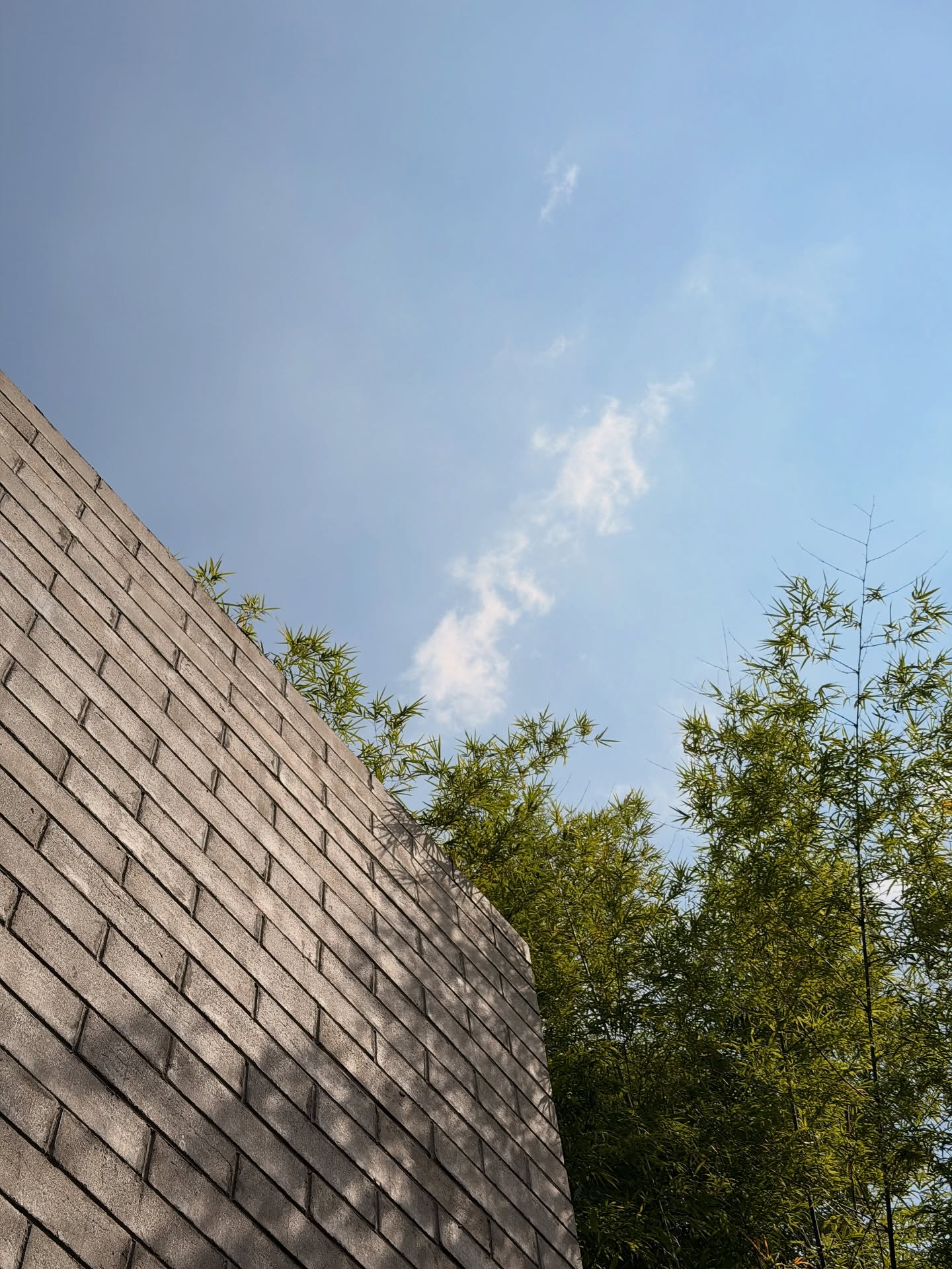 อาเล็ก - ธีรเดช เมธาวรายุทธ