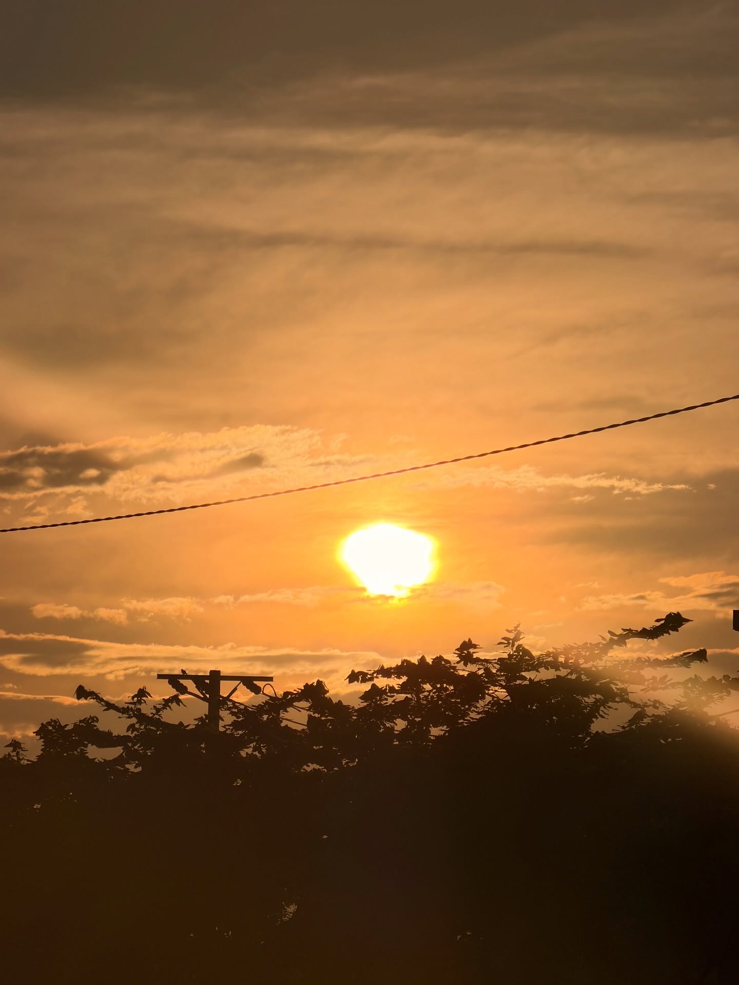 อาเล็ก - ธีรเดช เมธาวรายุทธ