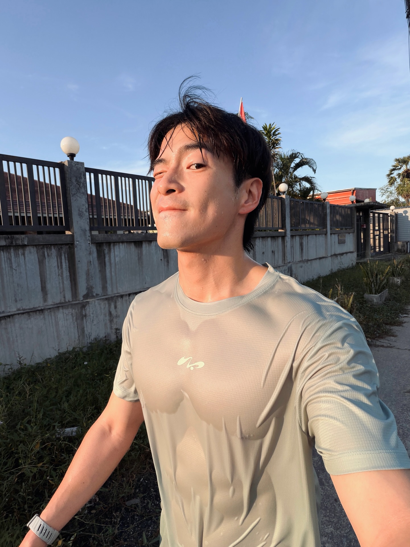 อาเล็ก - ธีรเดช เมธาวรายุทธ