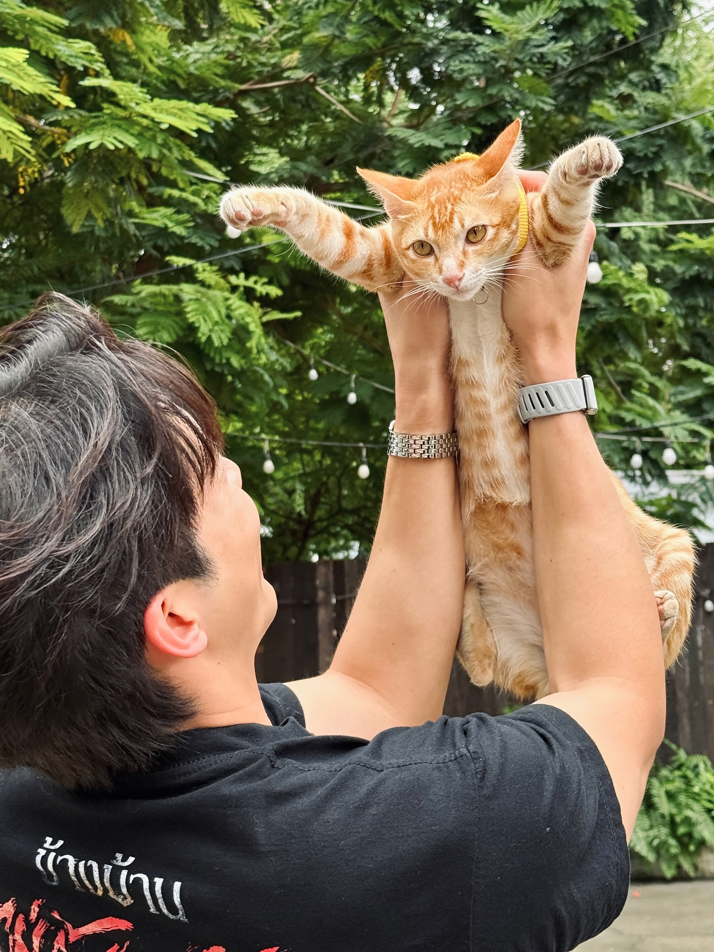 อาเล็ก - ธีรเดช เมธาวรายุทธ