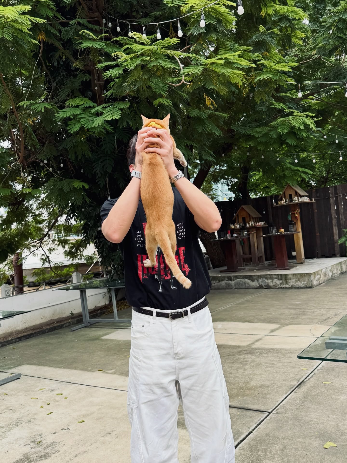 อาเล็ก - ธีรเดช เมธาวรายุทธ