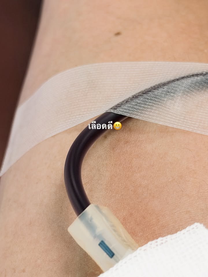 อาเล็ก - ธีรเดช เมธาวรายุทธ