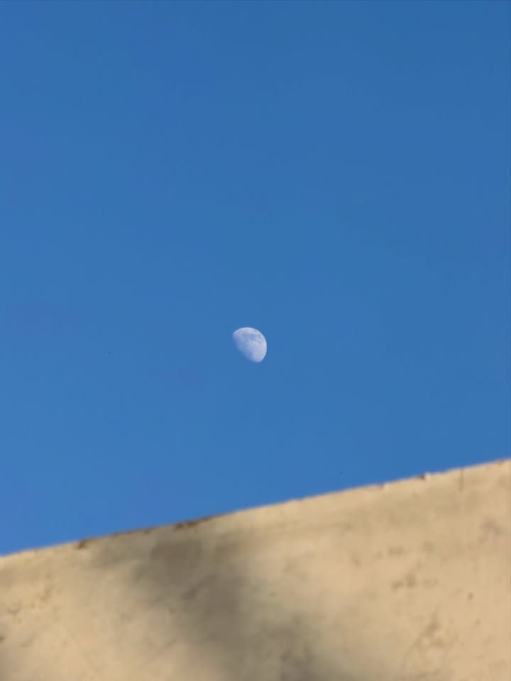 อาเล็ก - ธีรเดช เมธาวรายุทธ