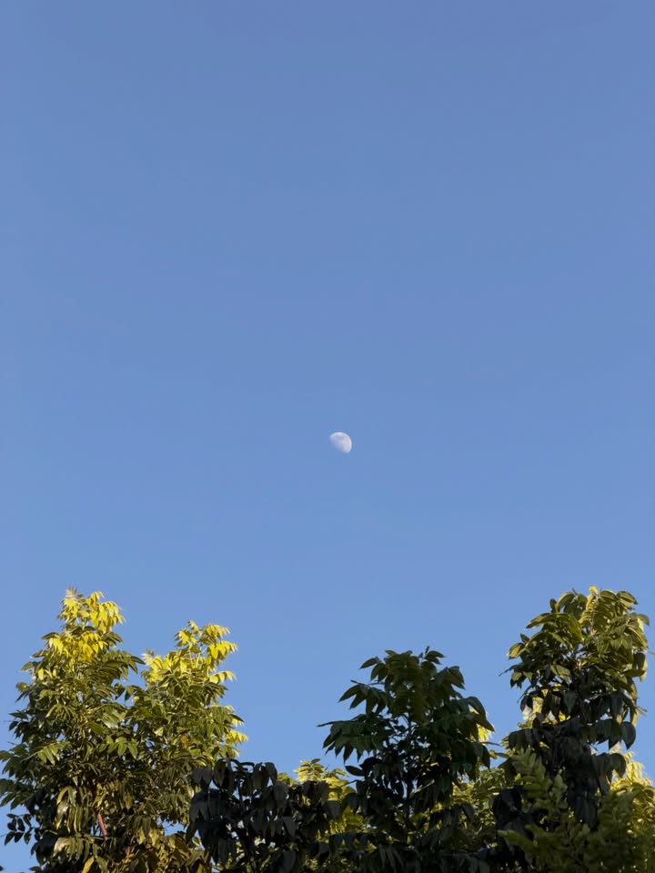 อาเล็ก - ธีรเดช เมธาวรายุทธ