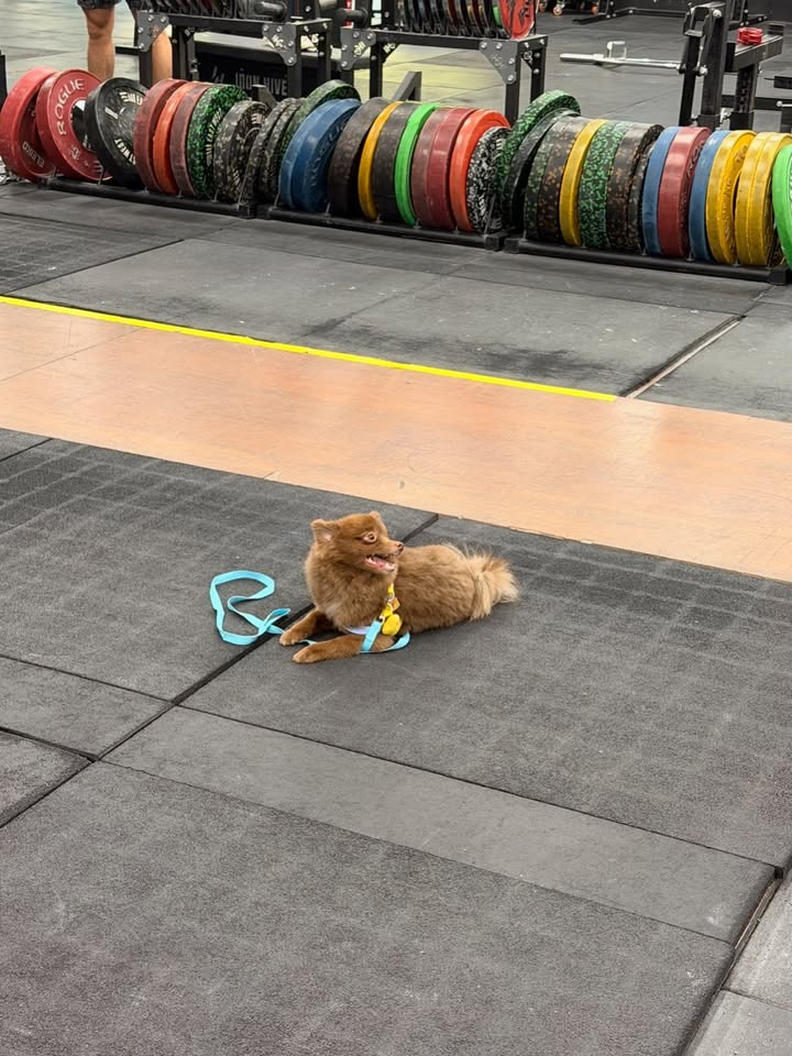 อาเล็ก - ธีรเดช เมธาวรายุทธ