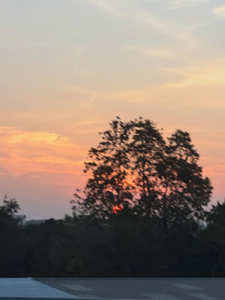 อาเล็ก - ธีรเดช เมธาวรายุทธ