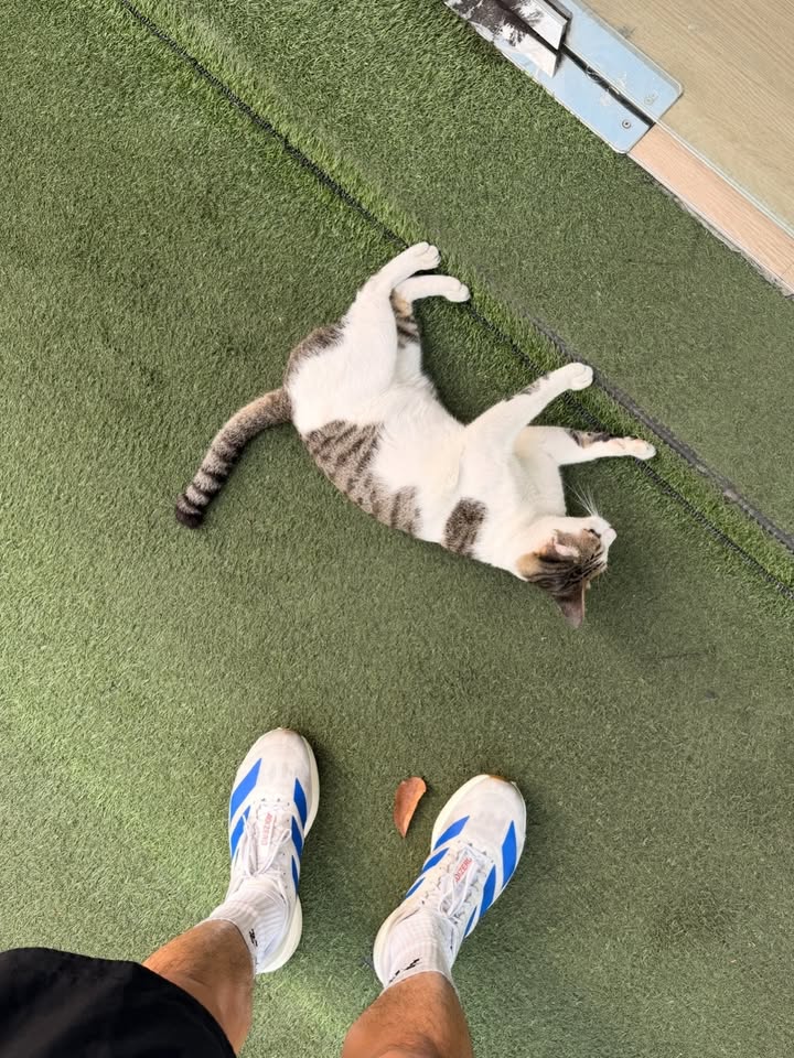 อาเล็ก - ธีรเดช เมธาวรายุทธ