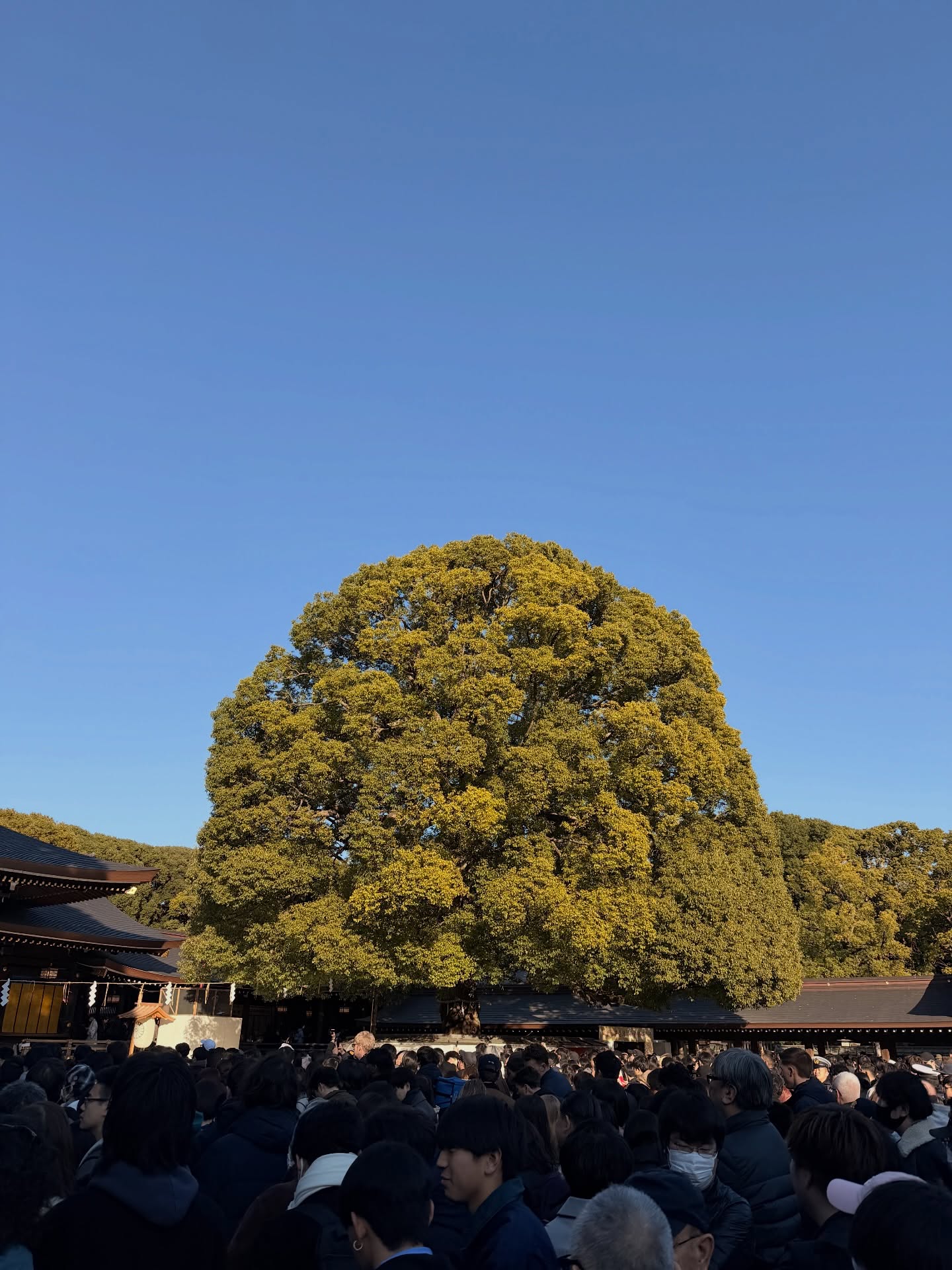 อาเล็ก - ธีรเดช เมธาวรายุทธ