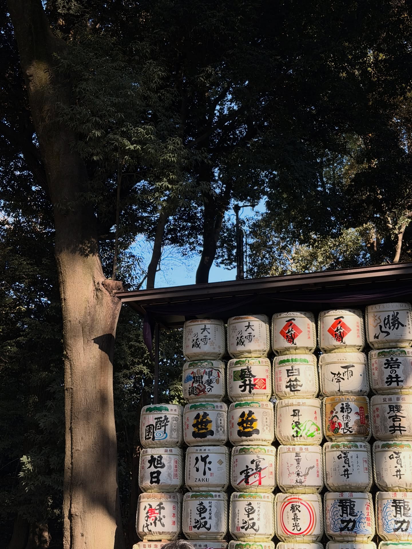 อาเล็ก - ธีรเดช เมธาวรายุทธ