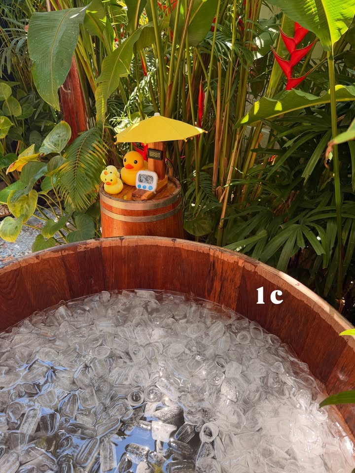 อาเล็ก - ธีรเดช เมธาวรายุทธ