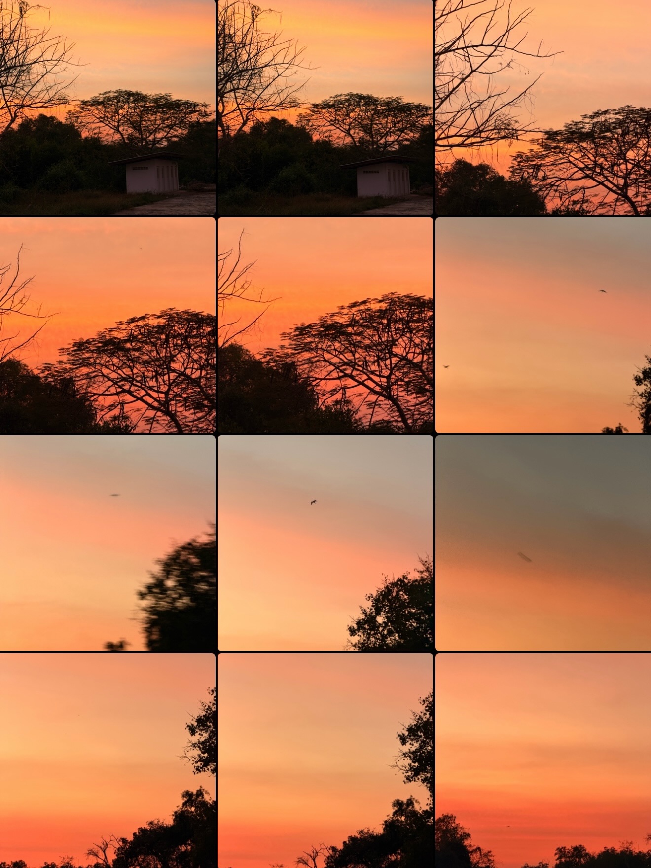 อาเล็ก - ธีรเดช เมธาวรายุทธ