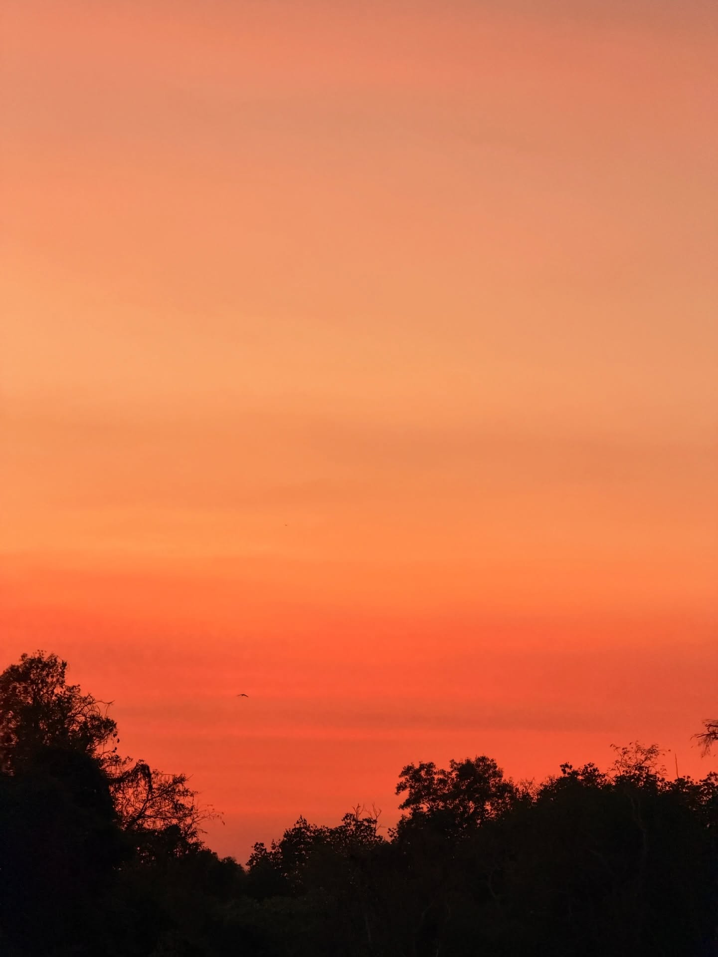 อาเล็ก - ธีรเดช เมธาวรายุทธ