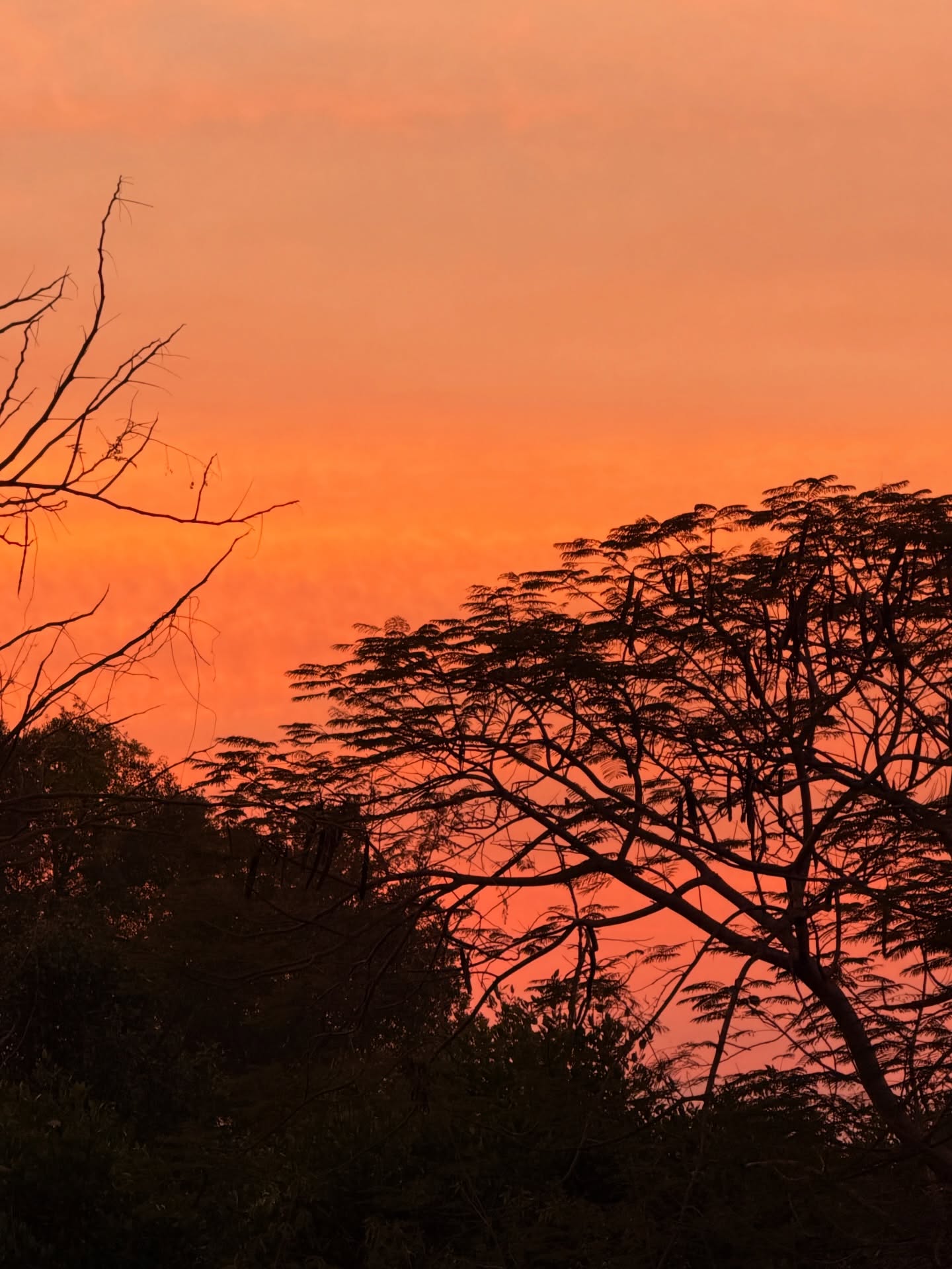 อาเล็ก - ธีรเดช เมธาวรายุทธ