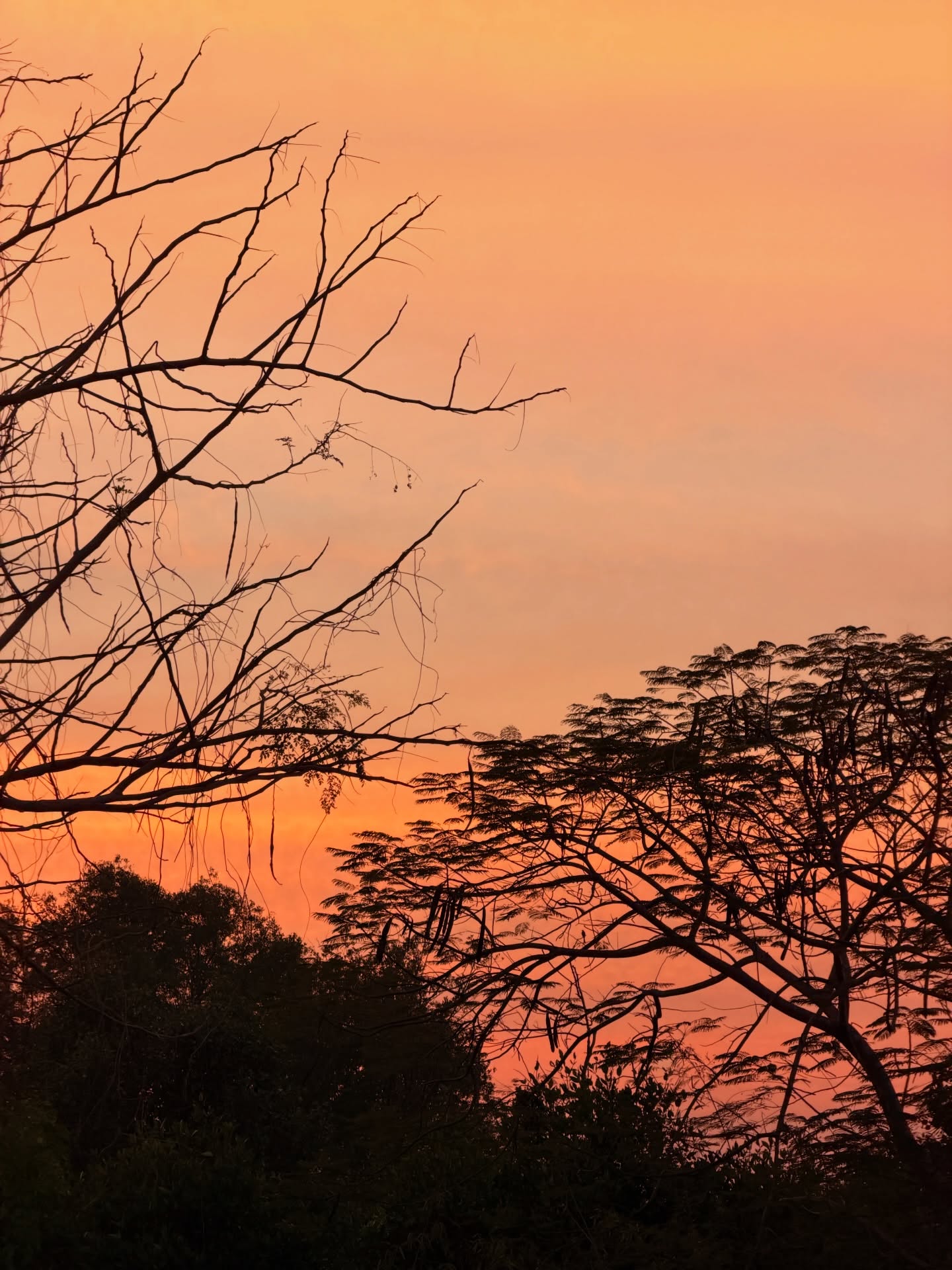 อาเล็ก - ธีรเดช เมธาวรายุทธ