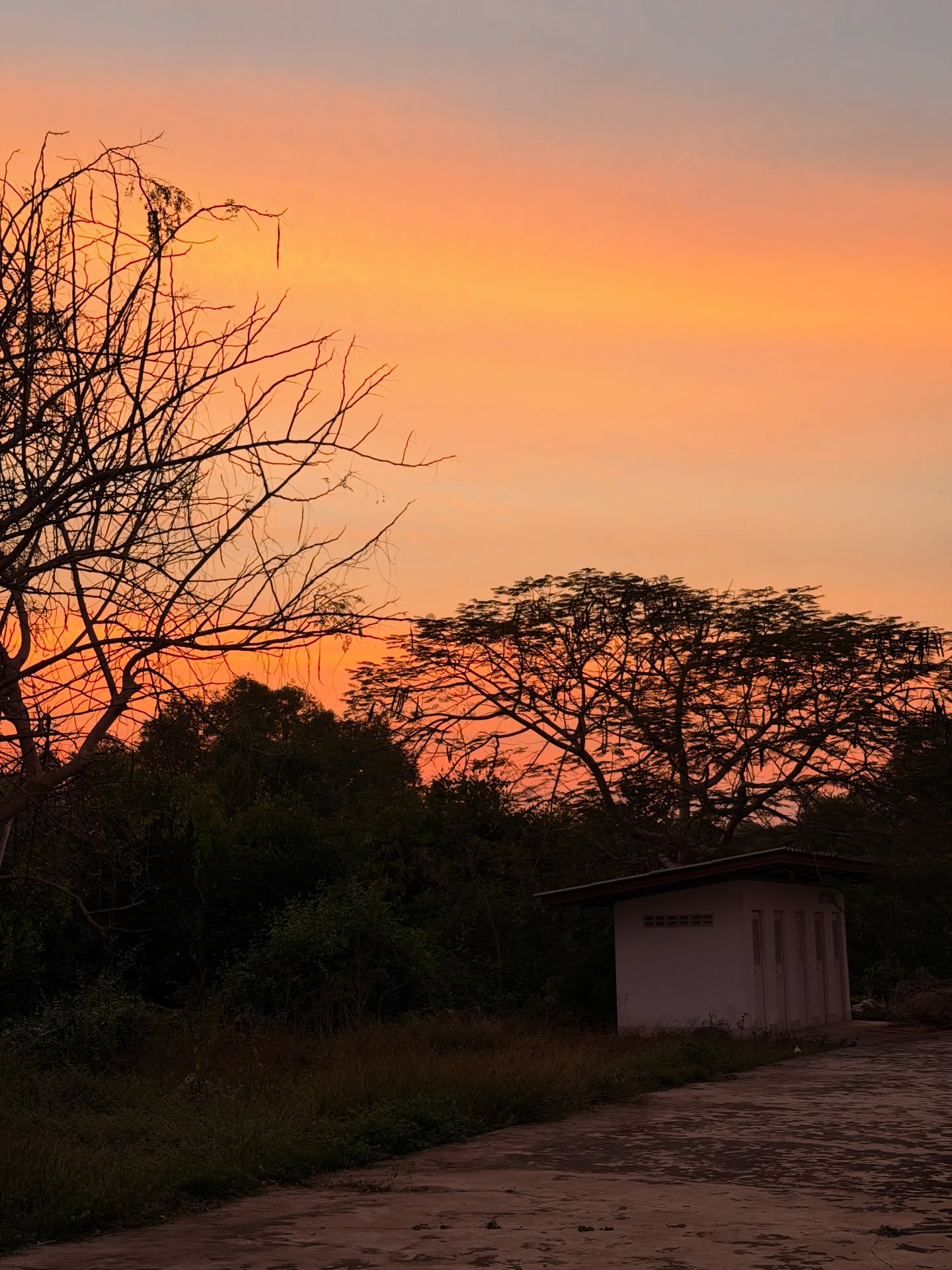 อาเล็ก - ธีรเดช เมธาวรายุทธ