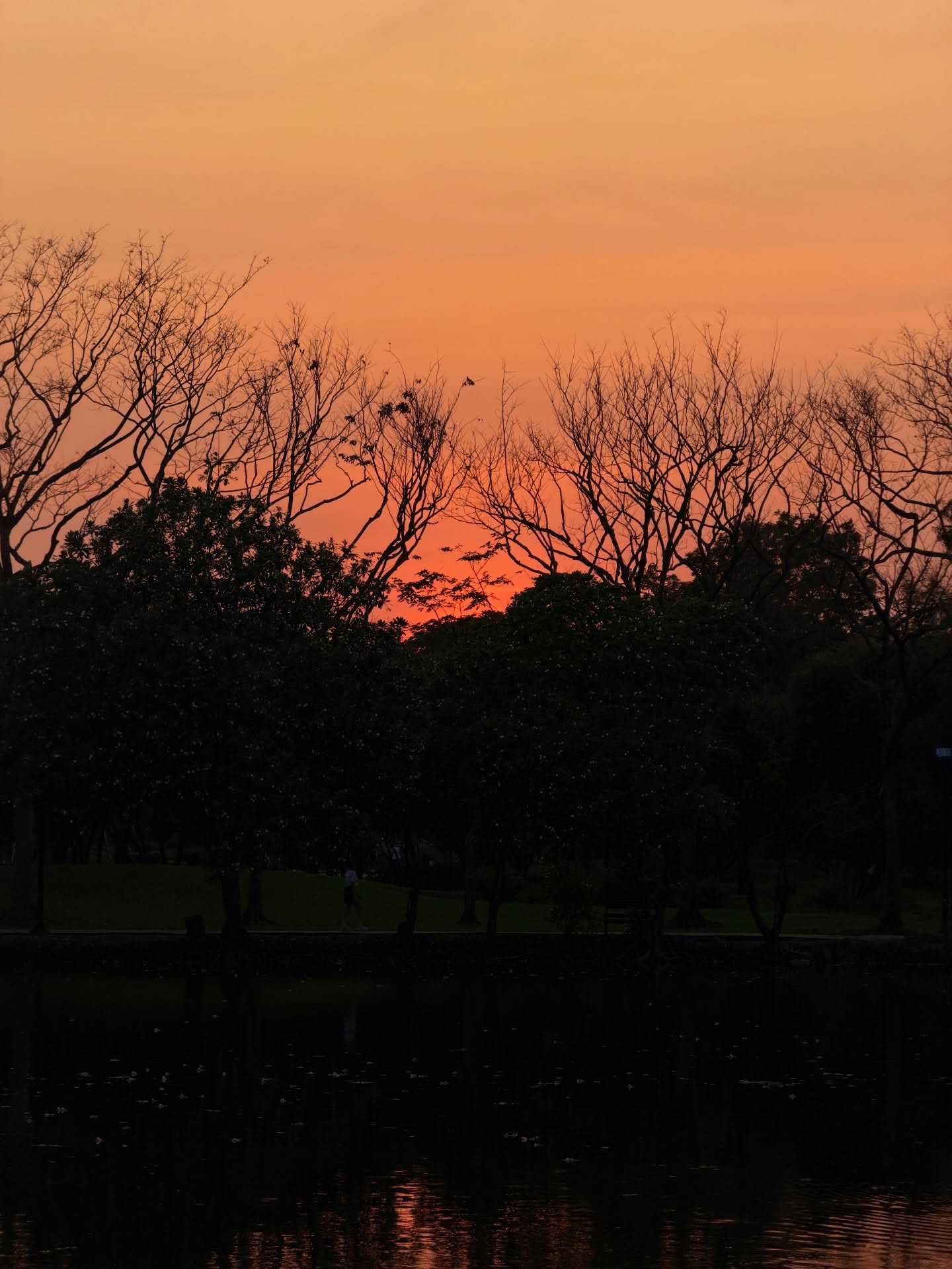 อาเล็ก - ธีรเดช เมธาวรายุทธ