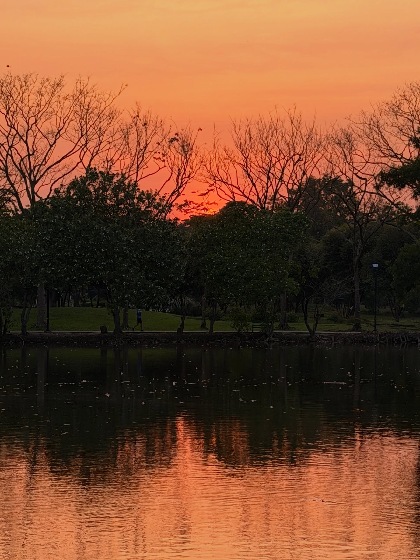 อาเล็ก - ธีรเดช เมธาวรายุทธ