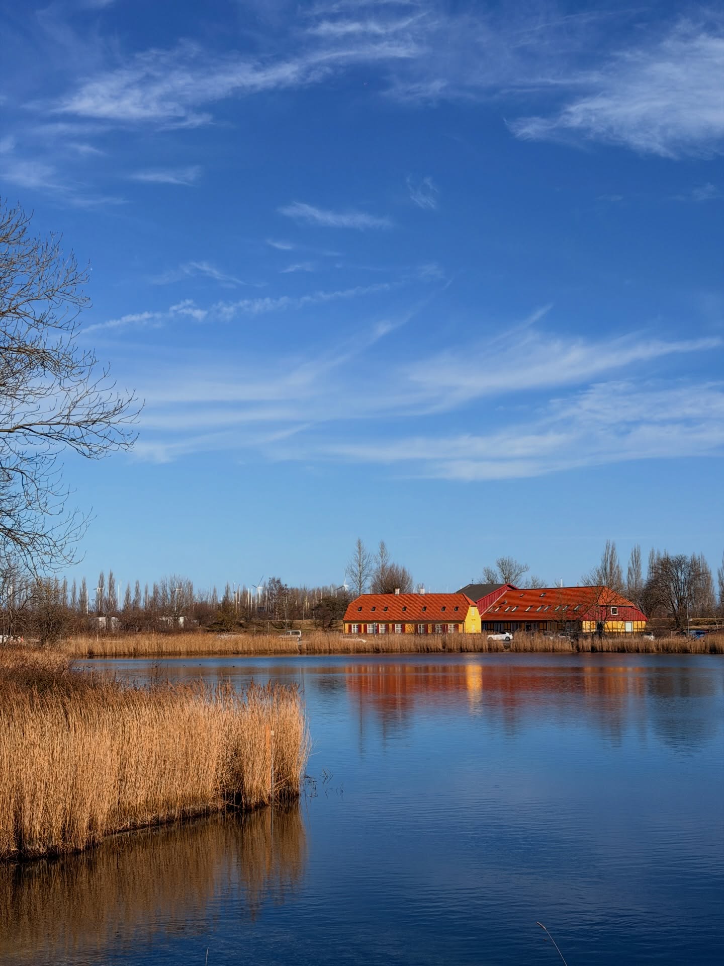 อาเล็ก - ธีรเดช เมธาวรายุทธ